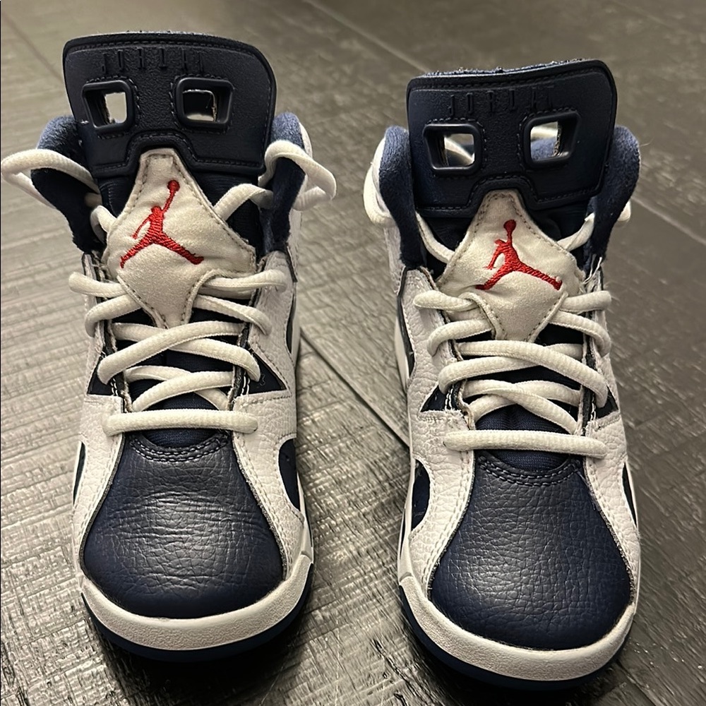 Air Jordan 6s 13C